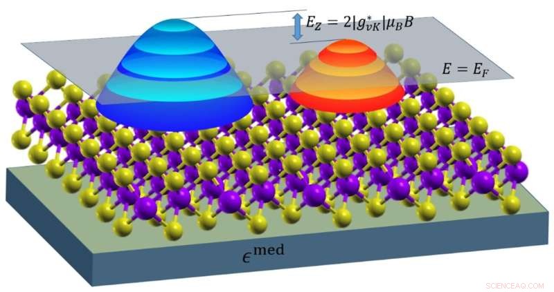 Aligning Quantized Landau Levels in Valleytronic WSe₂ for Advanced Electronics