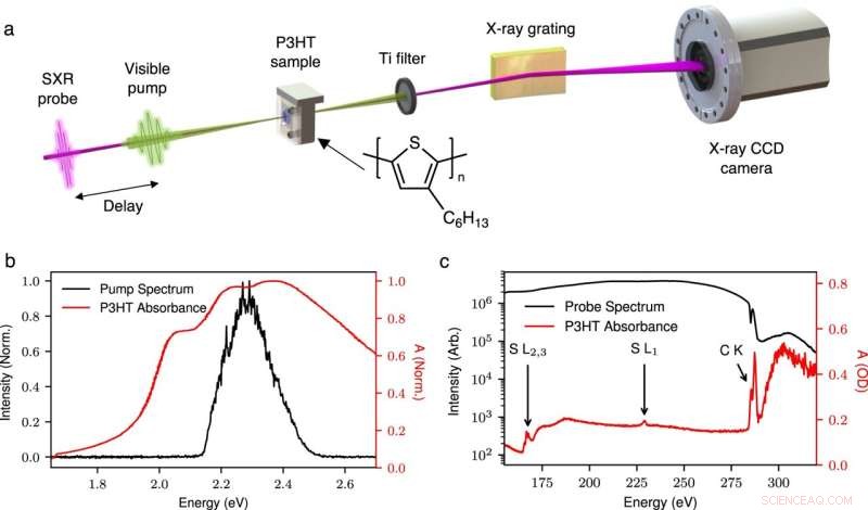 Ultrafast Laser Probes Reveal Insights into Next‑Generation Solar Cells