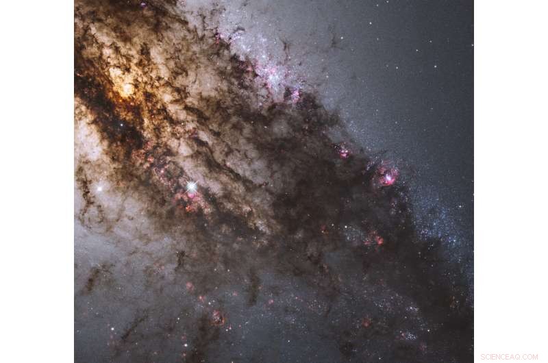 Information Energy: A Unified Explanation for Dark Energy, Hubble Tension, and the End of the Big Chill