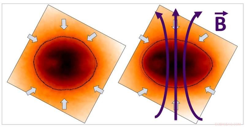 Enhancing Laser-Driven Inertial Fusion: The Role of Magnetic Fields