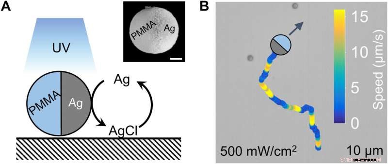 Unveiling the Physicochemical Dynamics of Silver Colloid Motion Waves