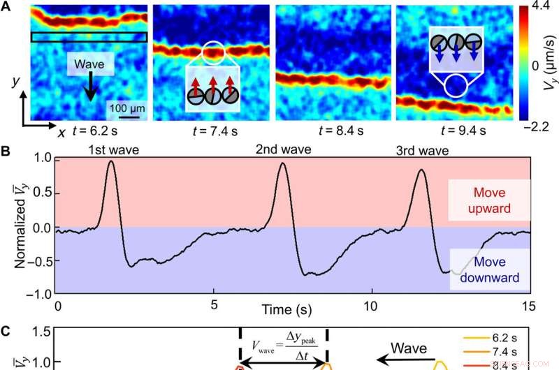 Unveiling the Physicochemical Dynamics of Silver Colloid Motion Waves