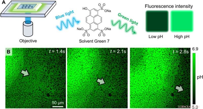 Unveiling the Physicochemical Dynamics of Silver Colloid Motion Waves
