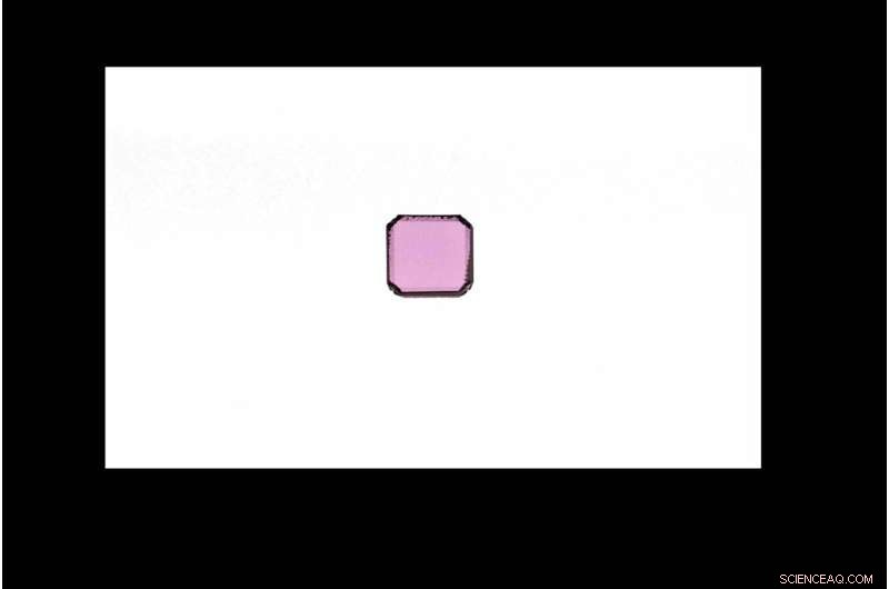 World’s First Measurement of Magnetic‑Field‑Dependent Stimulated Emission