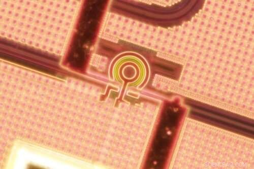 Mass-Produced Photonic Sensors Achieve Quantum-Limited Precision