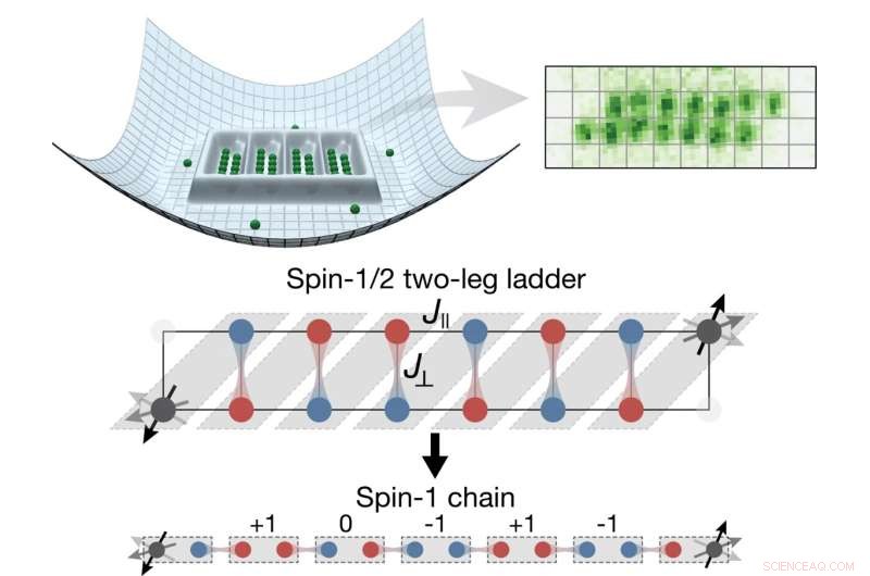 Advanced UV-Cooled Experiments Reveal Topological Phase in Spin Chains