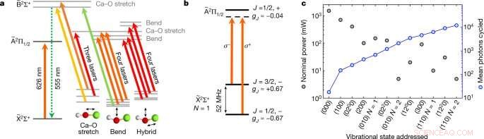 Harvard Breakthrough: 3‑D Laser Trapping Produces Ultracold Polyatomic Molecules