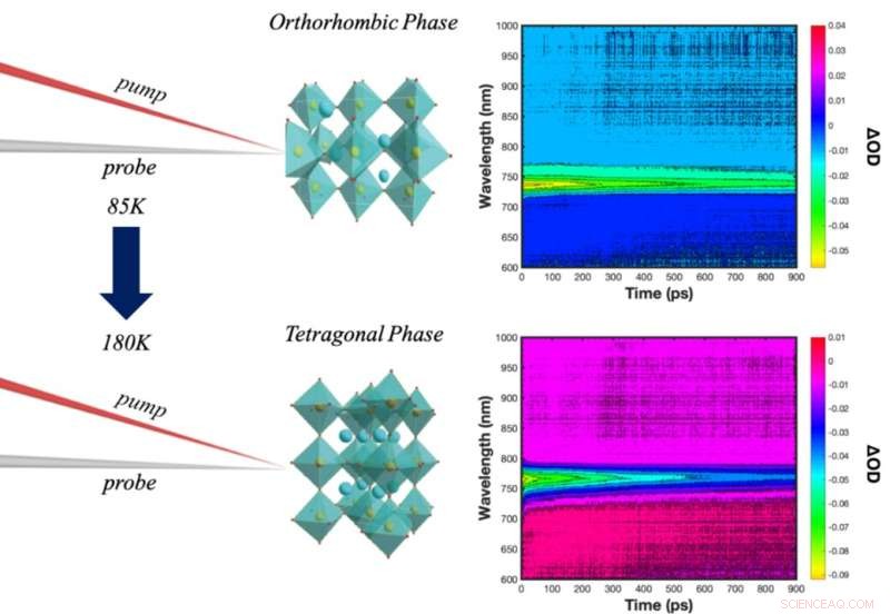 Exploring Charge Carrier Transfer Dynamics in Perovskite Layers via Ultrafast Laser Spectroscopy