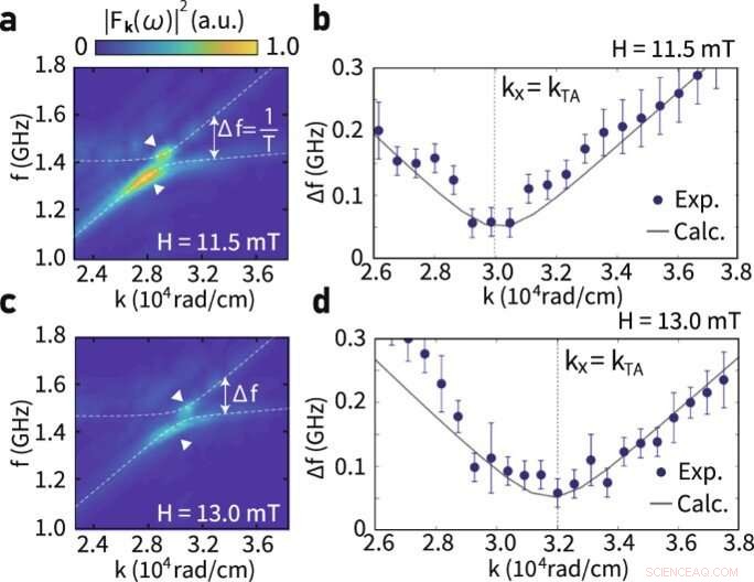 Coherent Coupling of Phonons and Magnons: Insights from Time-Resolved Magneto-Optical Microscopy