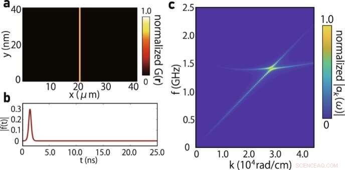 Coherent Coupling of Phonons and Magnons: Insights from Time-Resolved Magneto-Optical Microscopy