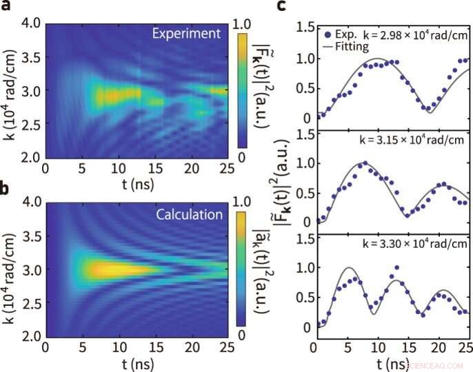 Coherent Coupling of Phonons and Magnons: Insights from Time-Resolved Magneto-Optical Microscopy