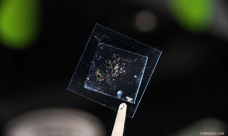 AI-Powered Tool Accelerates Monolayer Detection in Lab Samples