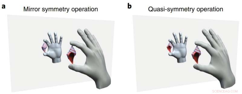 Quasi‑Symmetry in CoSi Uncovers a New Class of Topological Materials