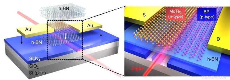 Advanced On-Chip Photodetection Using 2D Material Heterojunctions