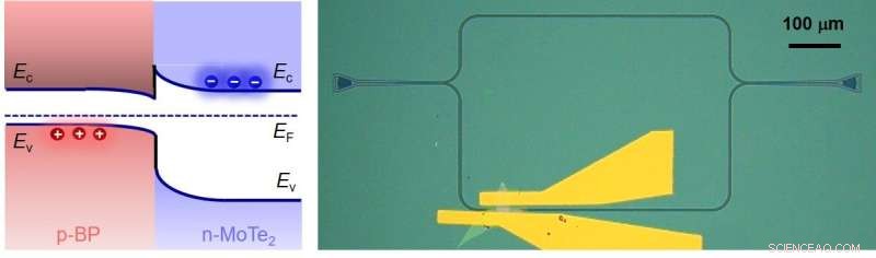 Advanced On-Chip Photodetection Using 2D Material Heterojunctions