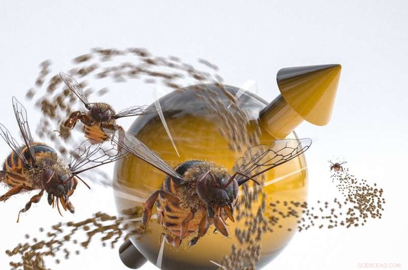 Exploring Levy Flights: From Quantum Magnets to Bee Foraging Behavior