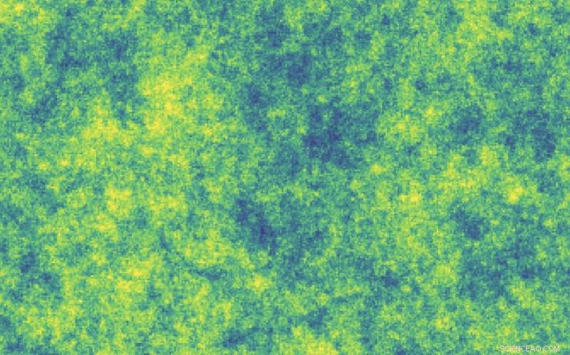 Applying Renormalization Group Techniques to Decode Brain Information Processing