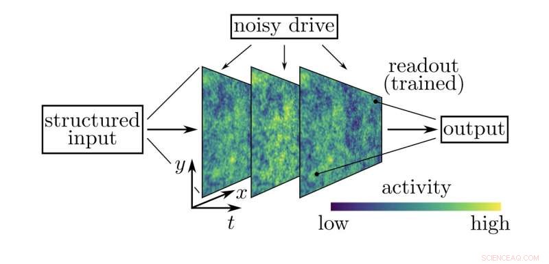 Applying Renormalization Group Techniques to Decode Brain Information Processing