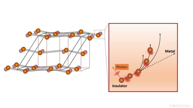 Ultrafast Camera Reveals Hidden Dynamics of Emerging Neuromorphic Materials