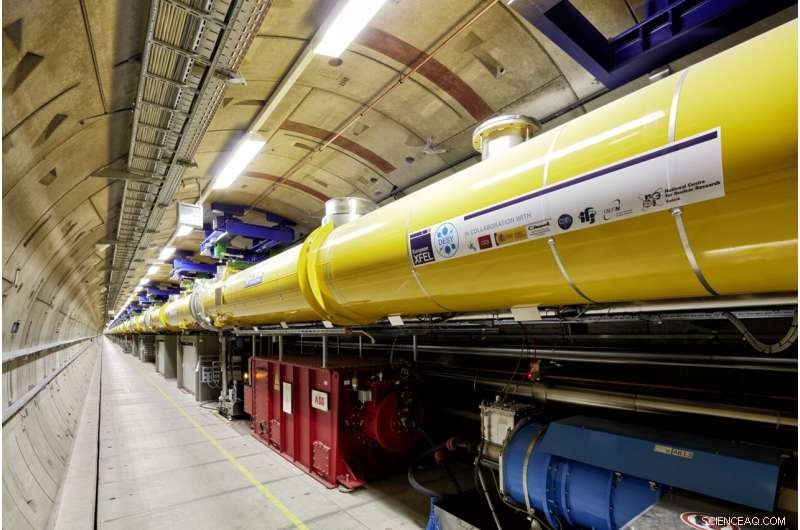 Record Purity Achieved in Polarized X‑ray Generation at European XFEL