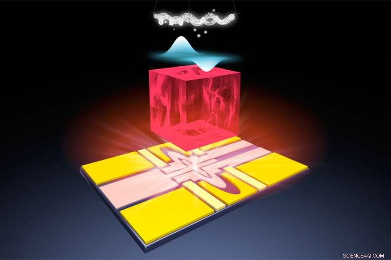 Revolutionary Qubit Design Using Solid Neon Paves Way for Next‑Gen Quantum Computers
