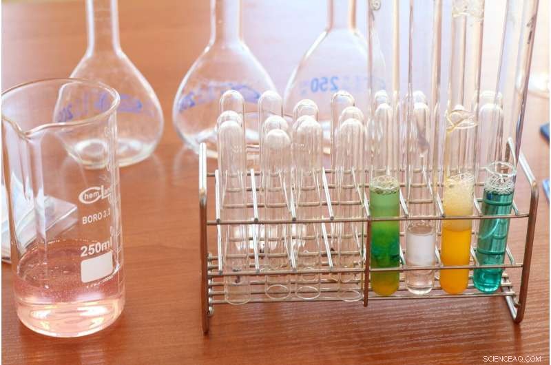 Interdisciplinary Study Reveals New Insights into Chemical Reaction Mechanisms