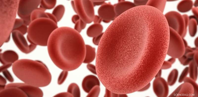 Instant Disease Diagnosis in a Phone‑Lens‑Sized Device