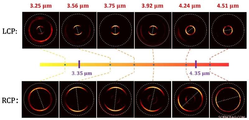 Photonic Slide Rule: Simultaneous Wavelength and Polarization Measurement via Metasurfaces