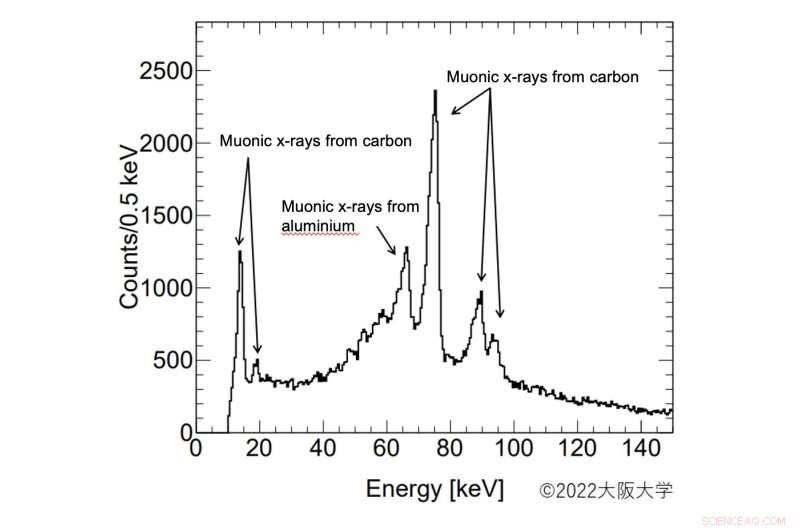Non‑Destructive Elemental Analysis with Muonic X‑Rays: New Method Reveals Composition Safely