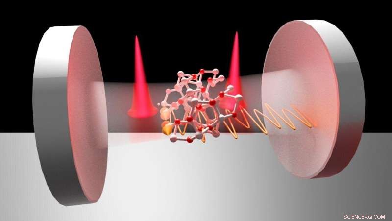 Atomic Terahertz Vibrations Unlock the Mystery of Ultrashort Soliton Molecules