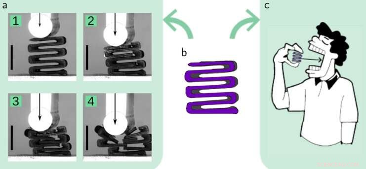Crafting the Ideal Chocolate: How Science Shapes Taste, Texture, and Experience