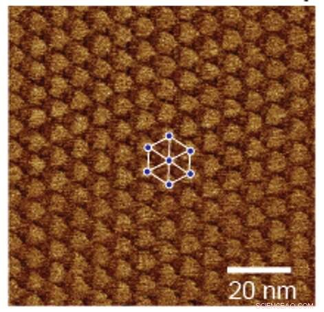 Laser Light Induces Ferromagnetism in Ultra‑Thin Quantum Materials