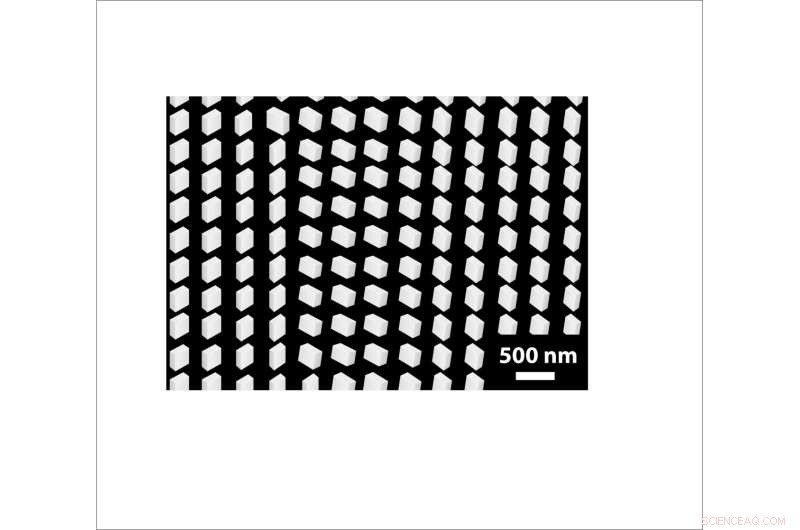 NIST Engineers Create Record-Setting Metalens Inspired by Trilobite Compound Eyes