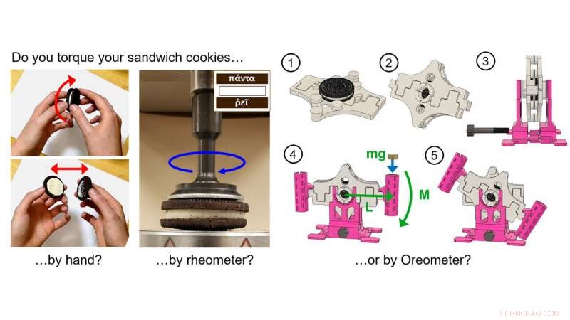 Scientific Study Reveals Why Oreo Creme Sticks to One Side When Twisted