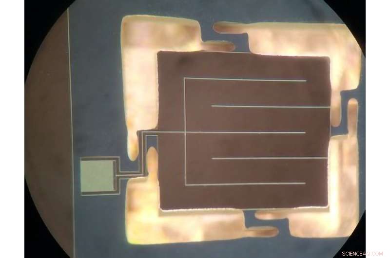 NIST Sensor Unveils New Insights into Neutron Decay and Physics Beyond the Standard Model