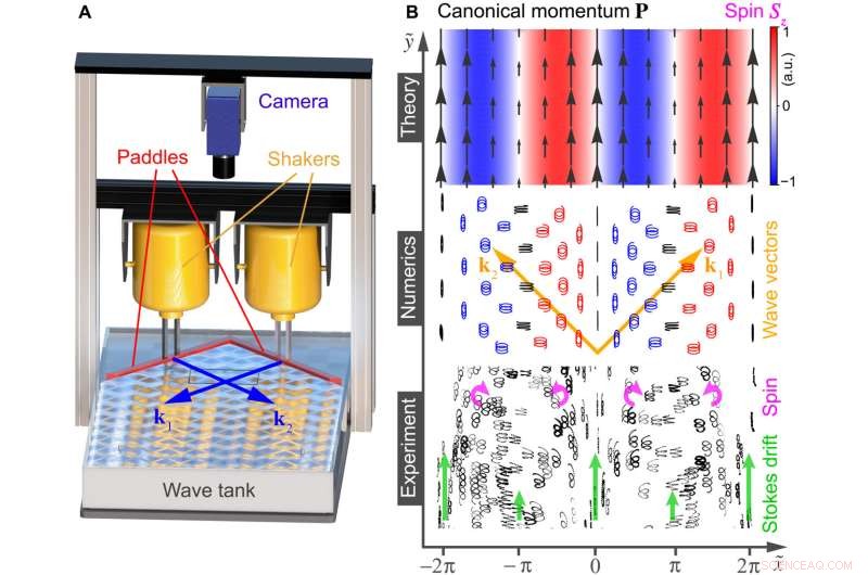 Mapping Spin Angular Momentum in Interfering Water Surface Waves