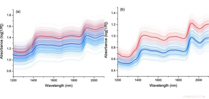 Enhanced Algorithm Boosts Transfer Efficiency in Near‑Infrared Spectroscopy Models