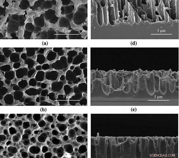 Porous Silicon s Light‑Trapping Ability Illuminates Solar Energy Advancements