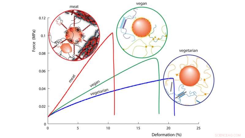 Discover How Plant‑Based Sausages Are Made – Research Pioneers New Food Science Frontiers