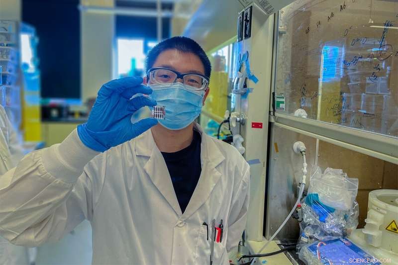 Quantum Mechanics Boosts Efficiency and Stability of Low‑Cost Inverted Perovskite Solar Cells