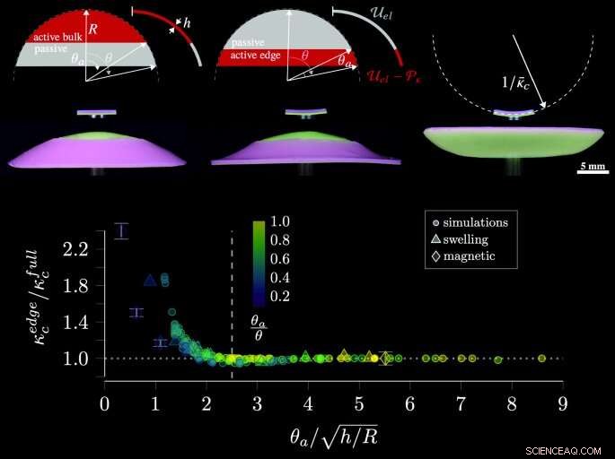 How Active Area and Boundary Design Influence Energy Requirements in Snapping Shells
