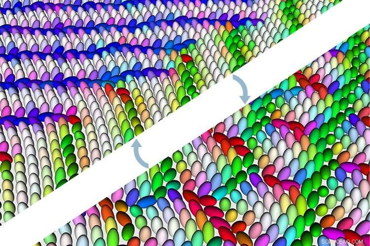 Elastic Fields Illuminate Chiral Molecular Crystals