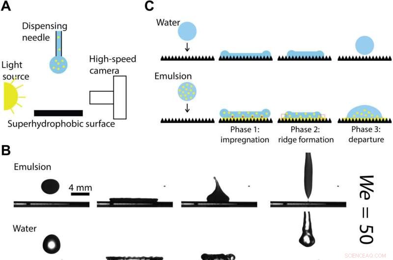 Impact Dynamics of Oil‑In‑Water Emulsion Droplets on Superhydrophobic Surfaces: Implications for Agricultural Materials