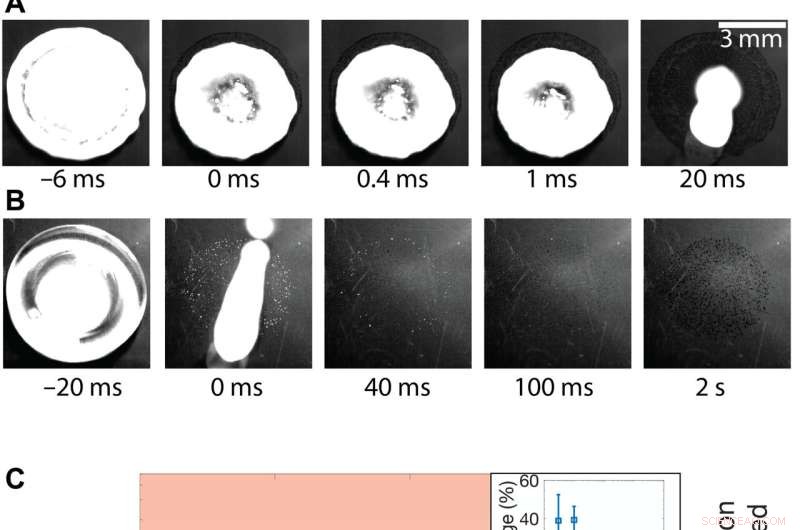 Impact Dynamics of Oil‑In‑Water Emulsion Droplets on Superhydrophobic Surfaces: Implications for Agricultural Materials