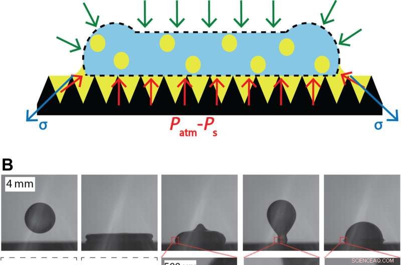 Impact Dynamics of Oil‑In‑Water Emulsion Droplets on Superhydrophobic Surfaces: Implications for Agricultural Materials