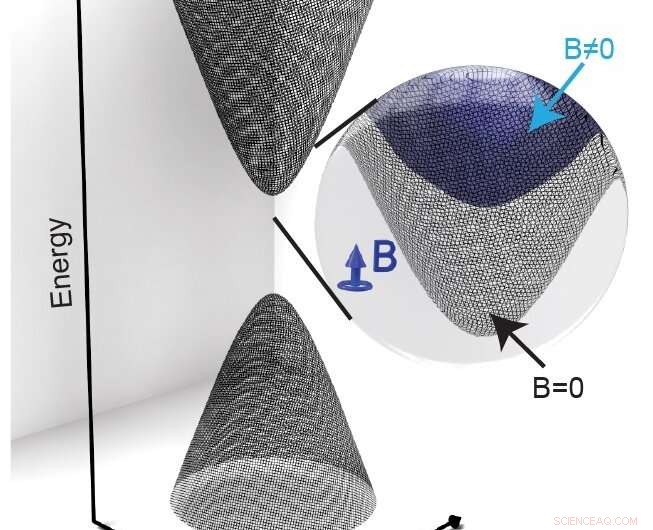 External Magnetic Fields Shift Dirac Band Structure in Kagome Magnet, Revealing Tunable Electronic States