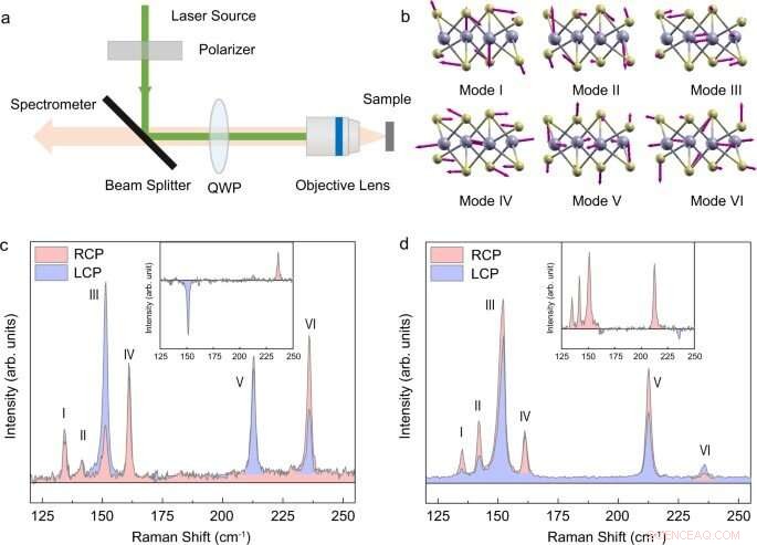Directed Quantum‑Interference Chiral Raman Scattering in 2‑D Enantiomers