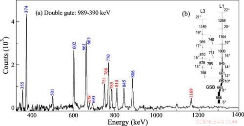 Neodymium‑136 Reveals Transverse Wobbling Bands: Key Findings from Recent Research