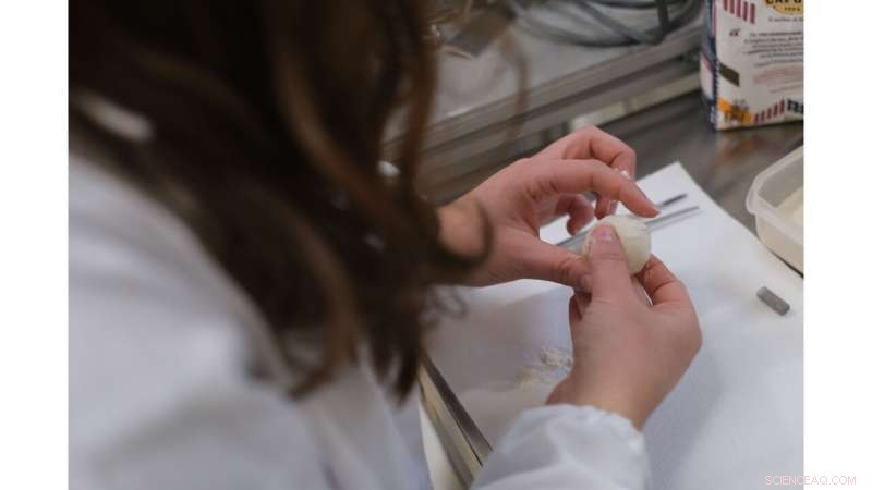 Mastering Yeast-Free Pizza: Blowing Bubbles for the Ideal Rise