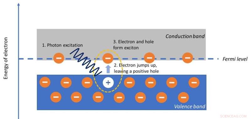 First Observation of Ultra‑High‑Speed Excitons in Metals Paves Way for Faster Digital Communications